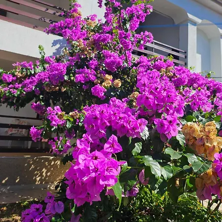 Felix Apartmán Medulin